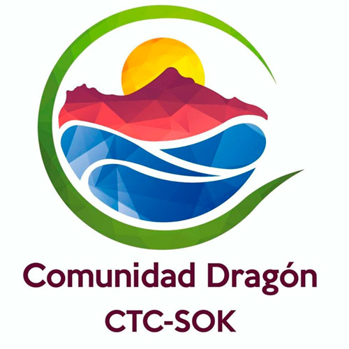 Dragon Dormido